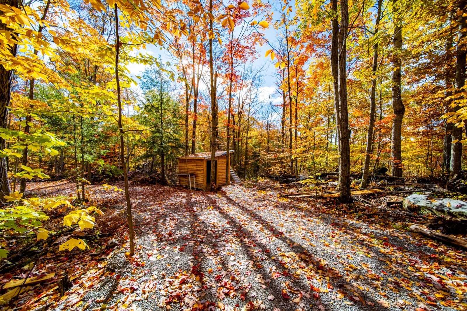 Listing X5881840 - Large Photo # 3