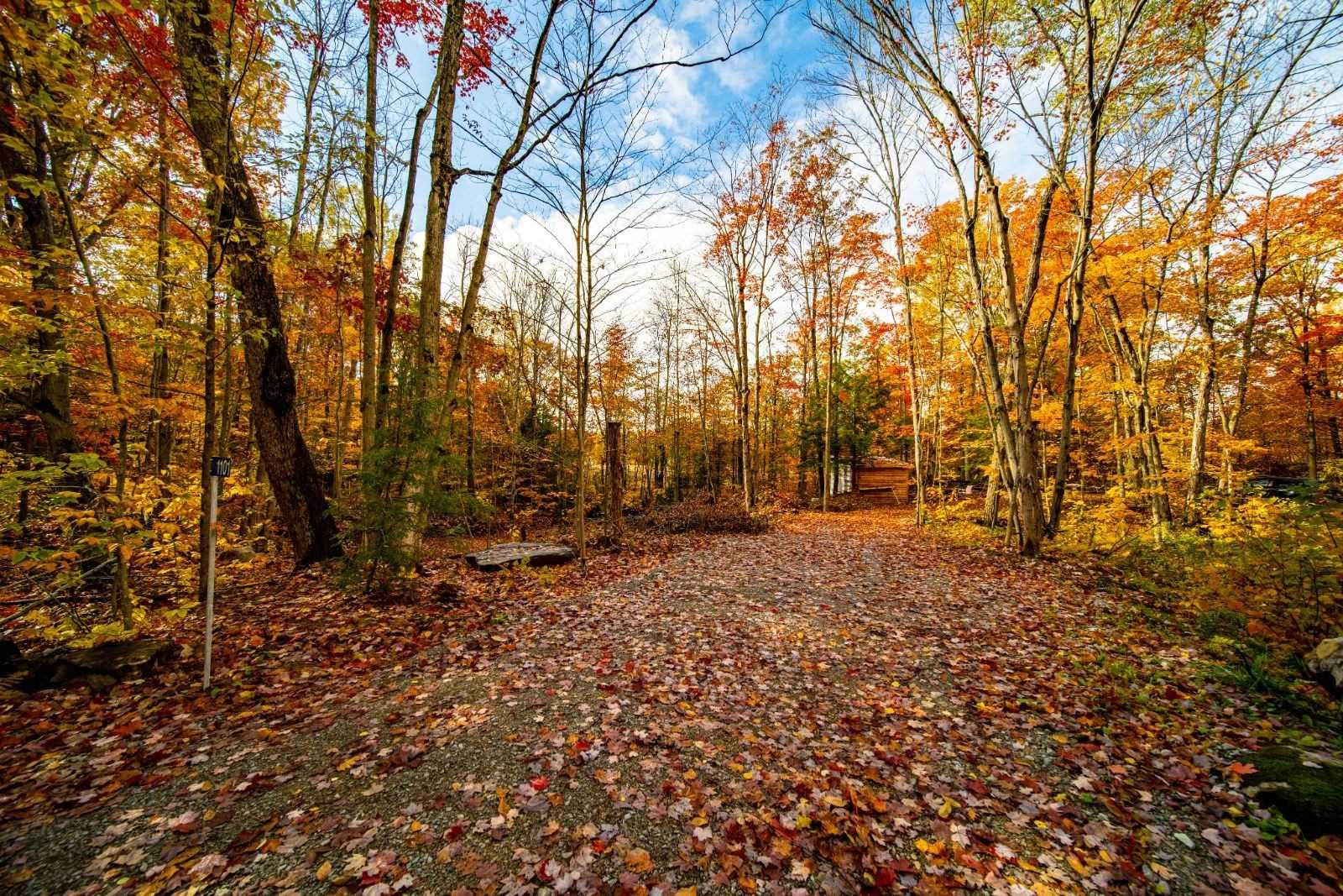 Listing X5881840 - Large Photo # 2