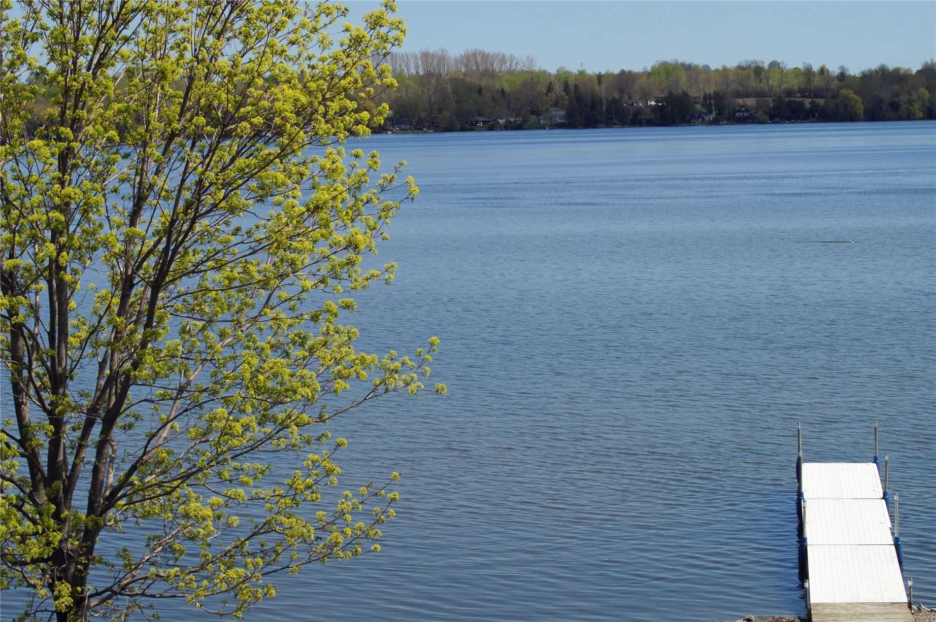 Listing X5882993 - Large Photo # 31