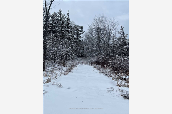 0 Jakes Rd, Trent Hills