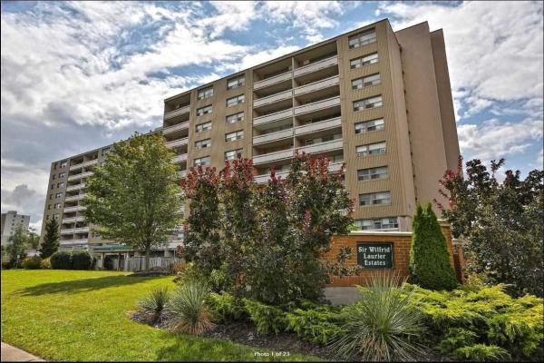15 Albright Rd, Hamilton