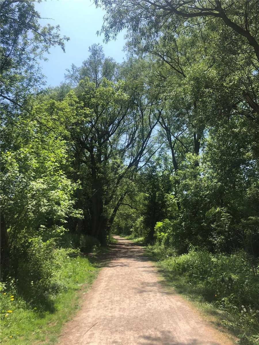 Listing X5887839 - Large Photo # 35