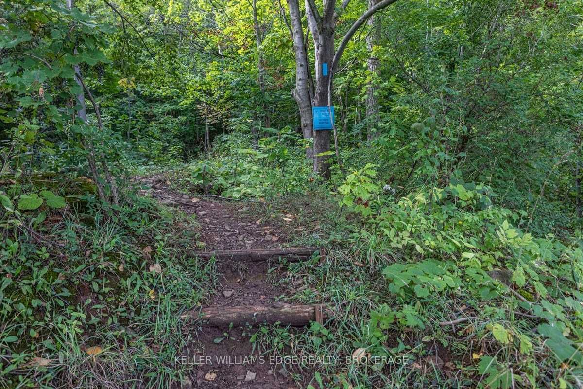 Listing X5897003 - Large Photo # 31