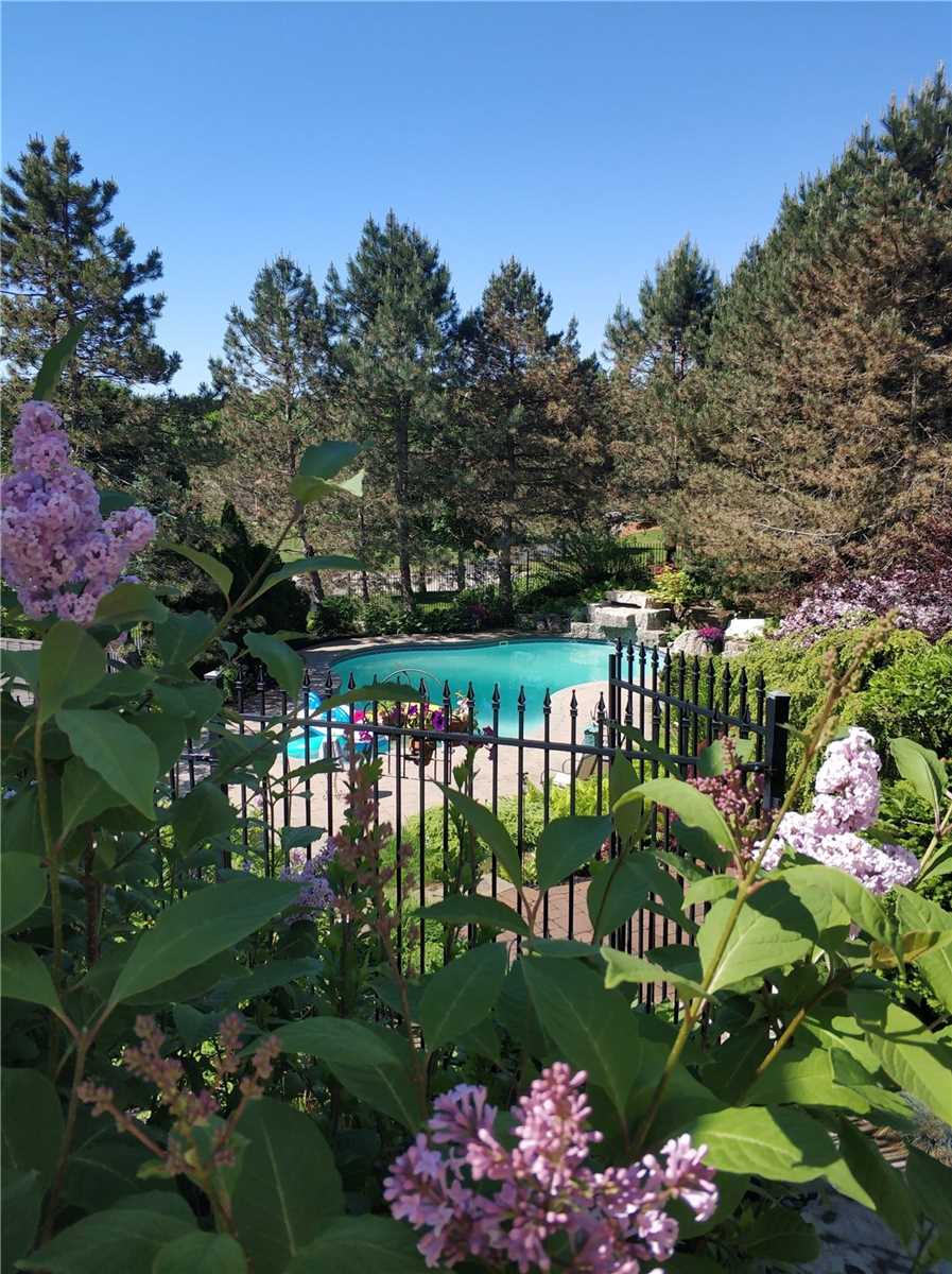 9 Palomino Dr