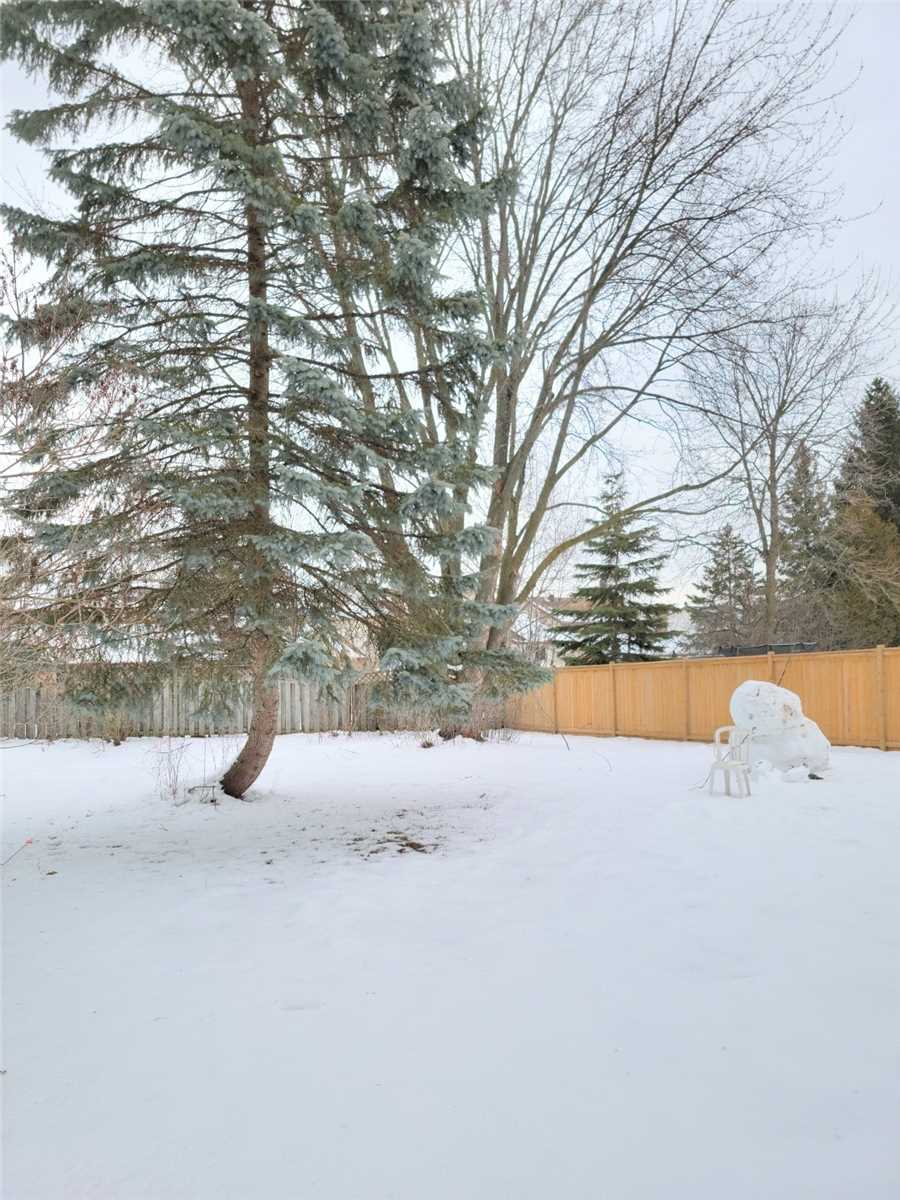 Listing X5901959 - Large Photo # 3