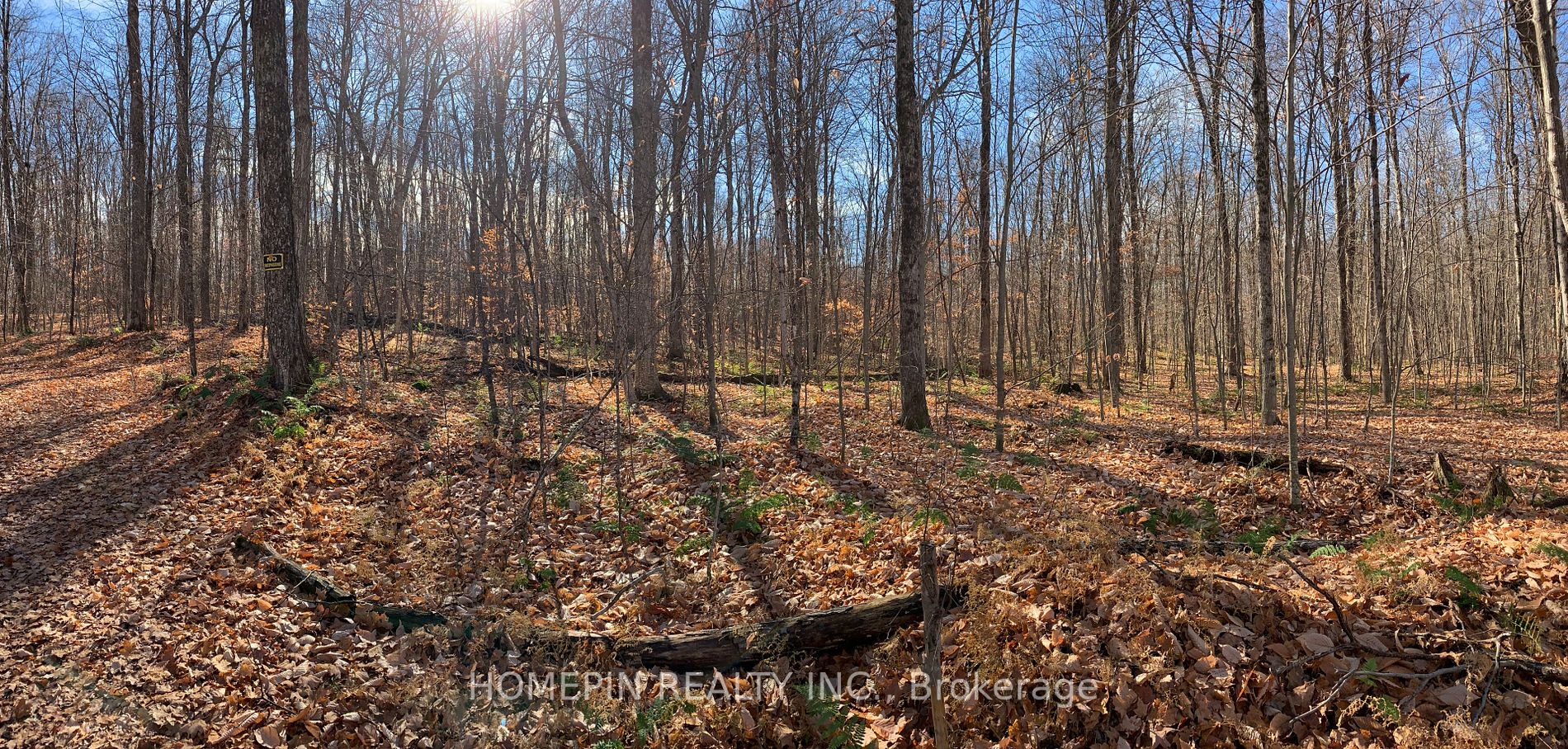 Listing X5906248 - Large Photo # 23