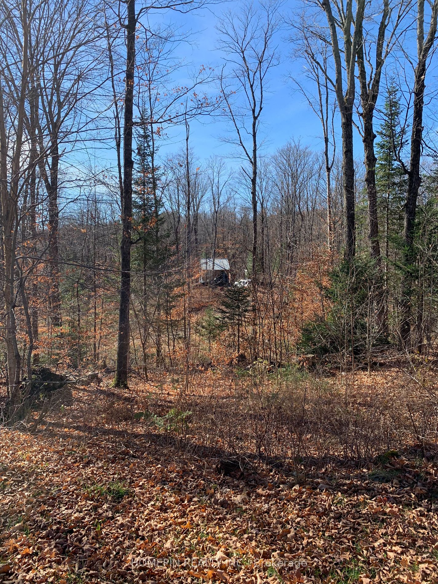 Listing X5906248 - Large Photo # 4