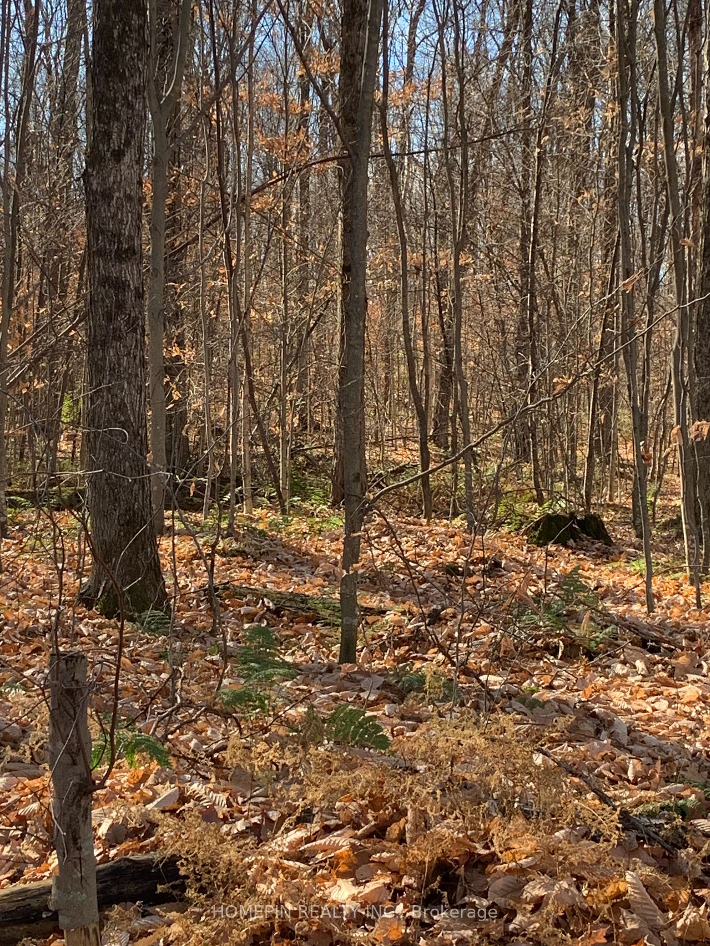 Listing X5906248 - Large Photo # 22