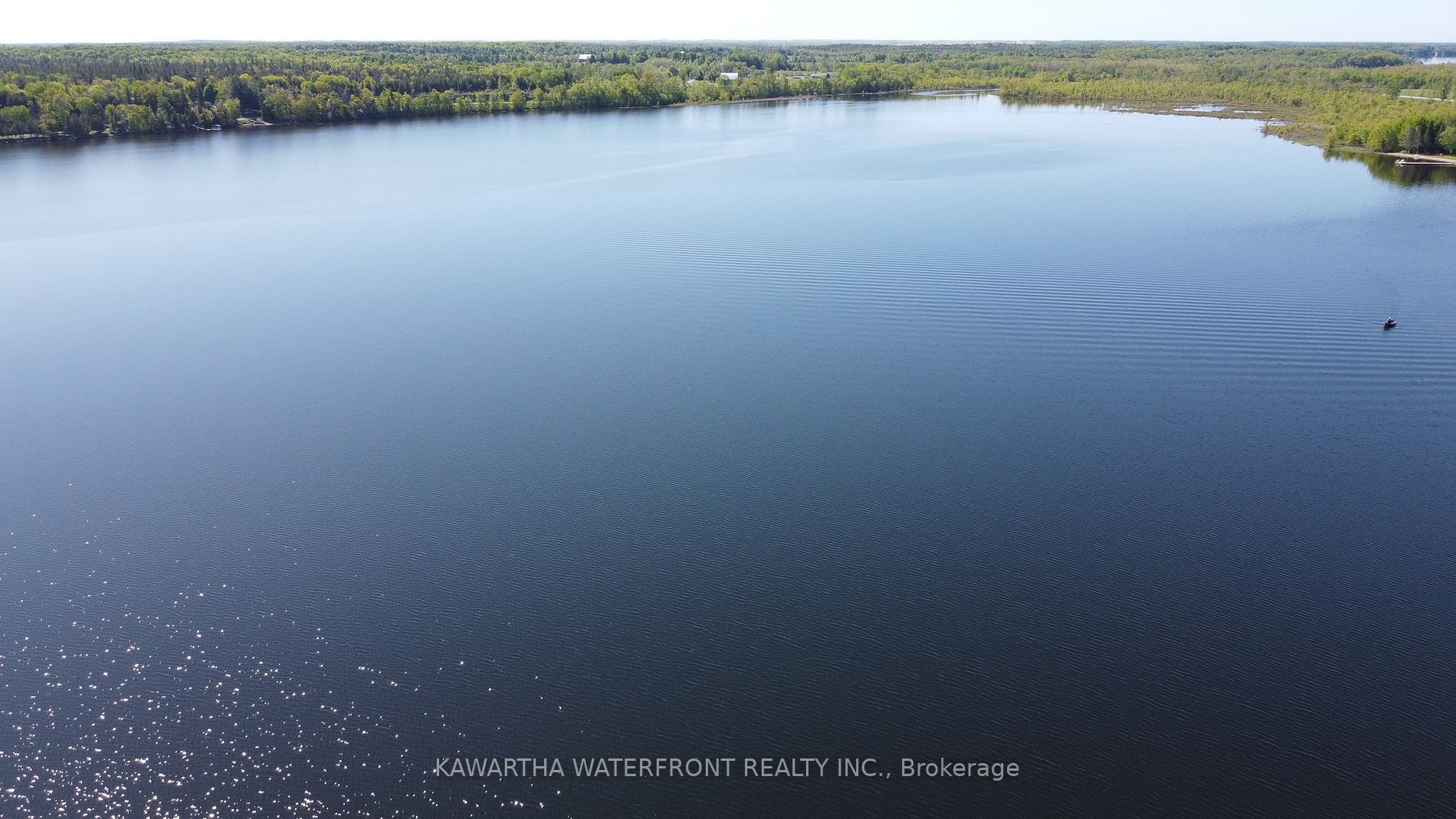 Listing X5908936 - Large Photo # 30