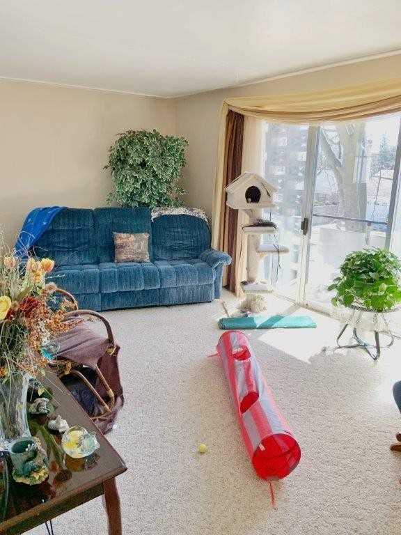 Listing X5909051 - Large Photo # 21