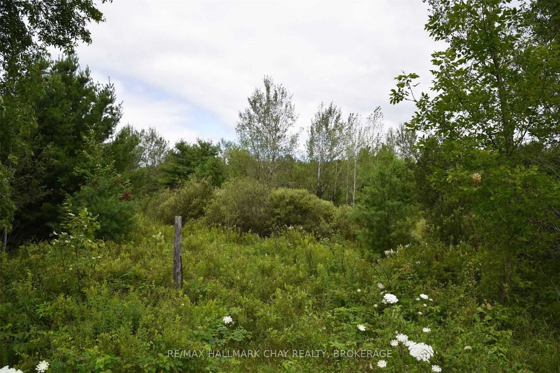 Listing X5909201 - Large Photo # 4