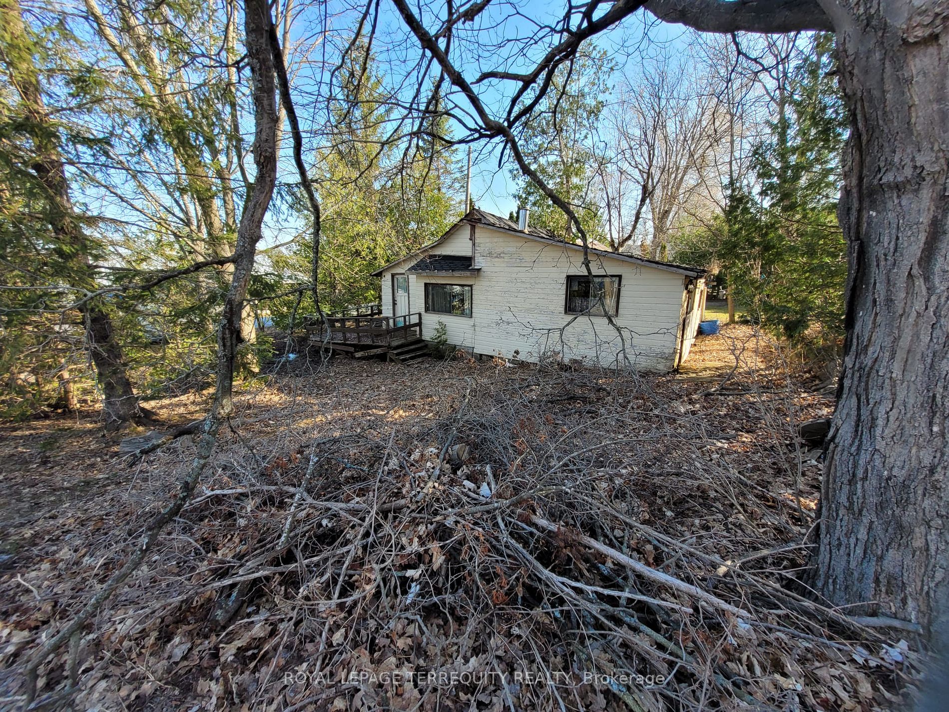Listing X5909916 - Large Photo # 3