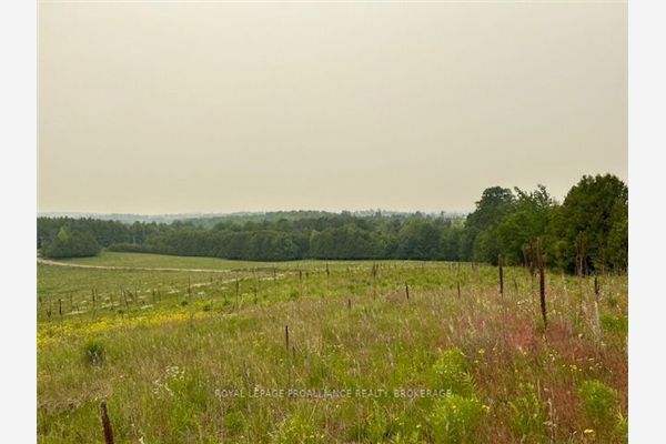 401 Grassy Rd, Kawartha Lakes