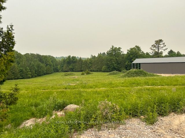 Listing X5912921 - Large Photo # 3