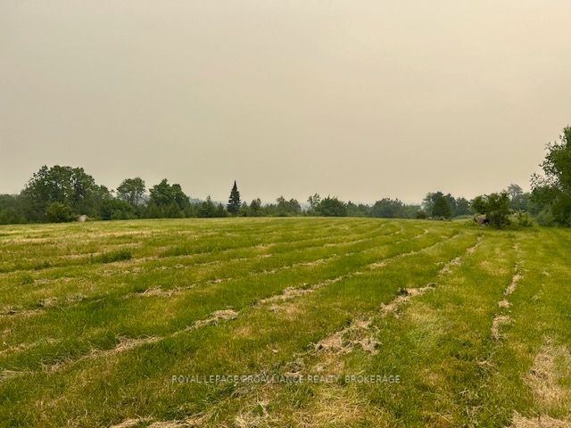 Listing X5912921 - Large Photo # 4