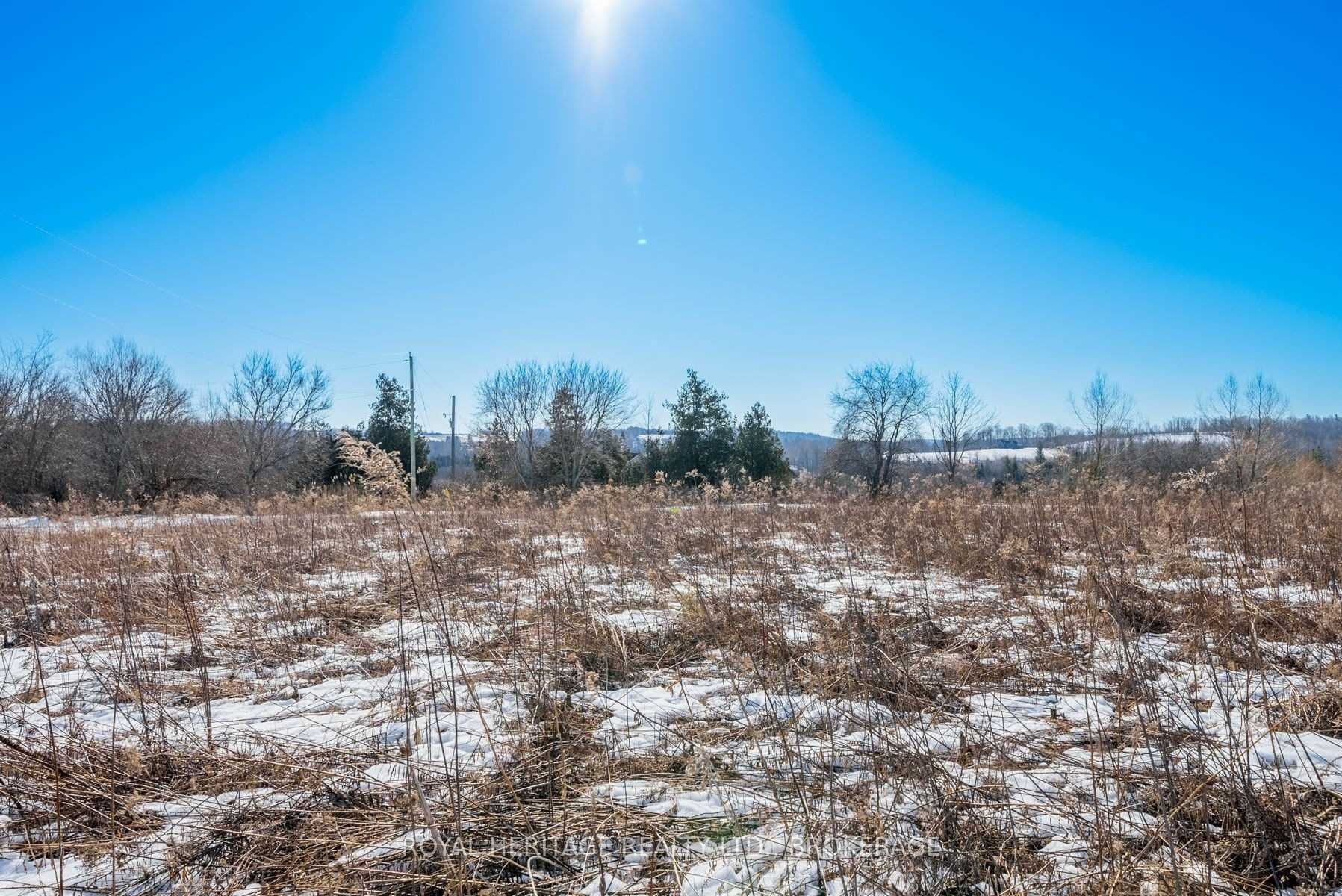 498 Haynes Road