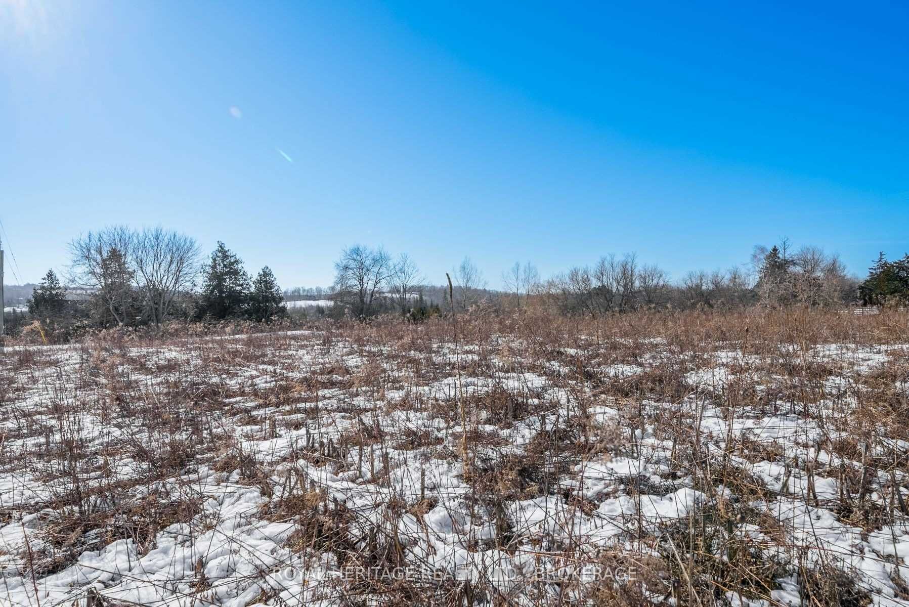 498 Haynes Road
