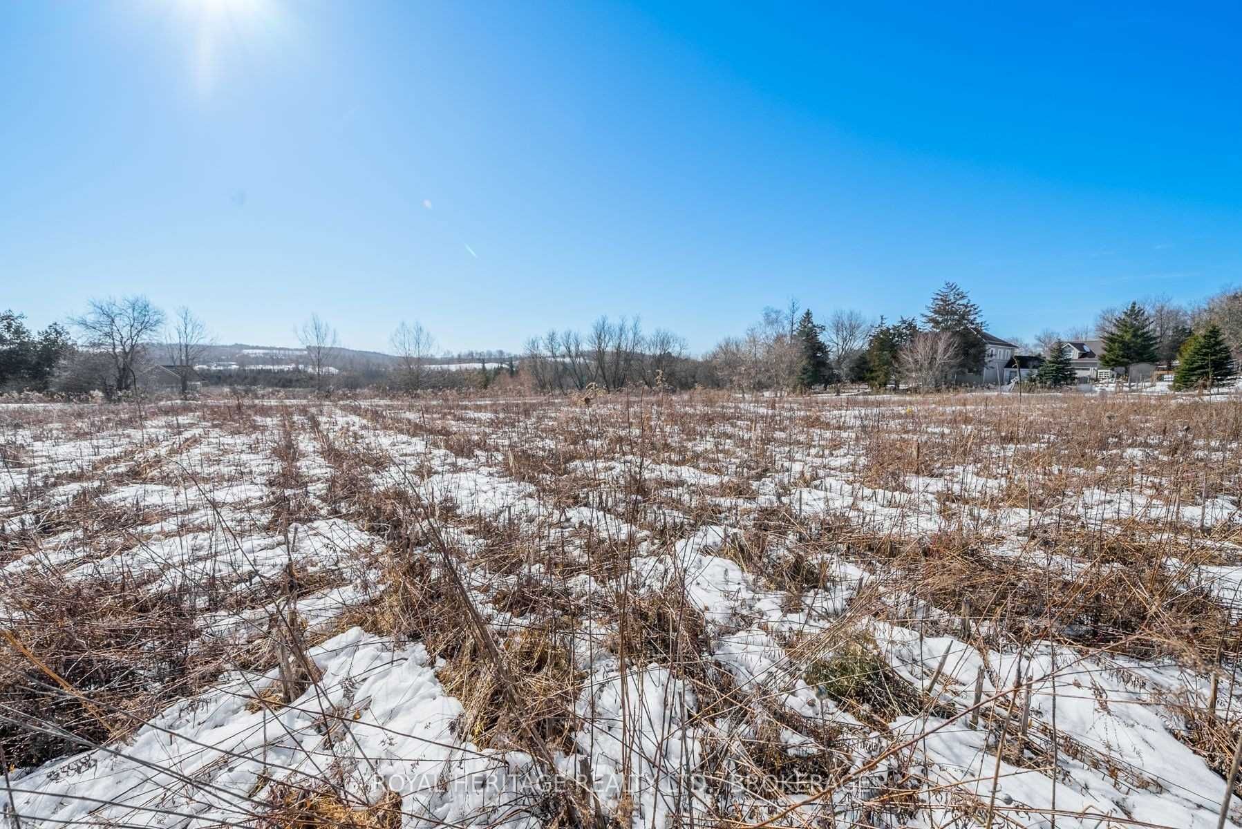 498 Haynes Road