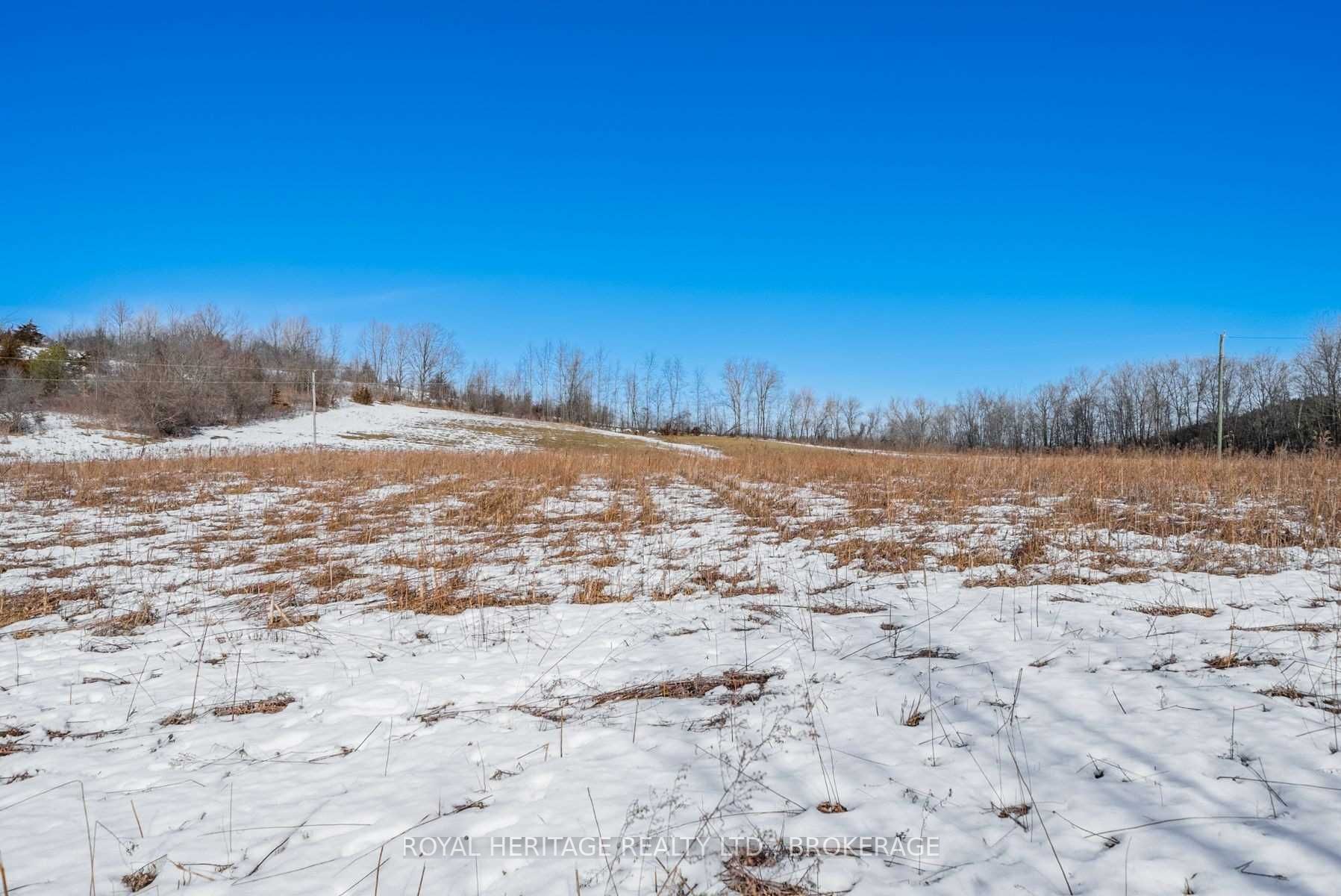 498 Haynes Road
