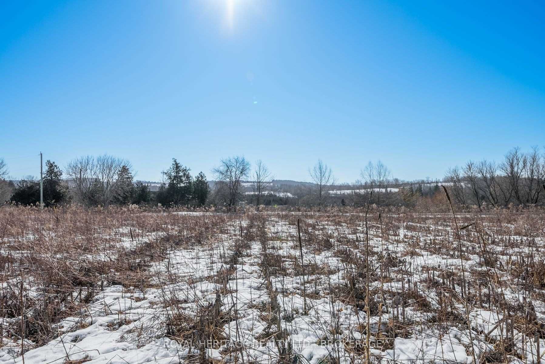 498 Haynes Road