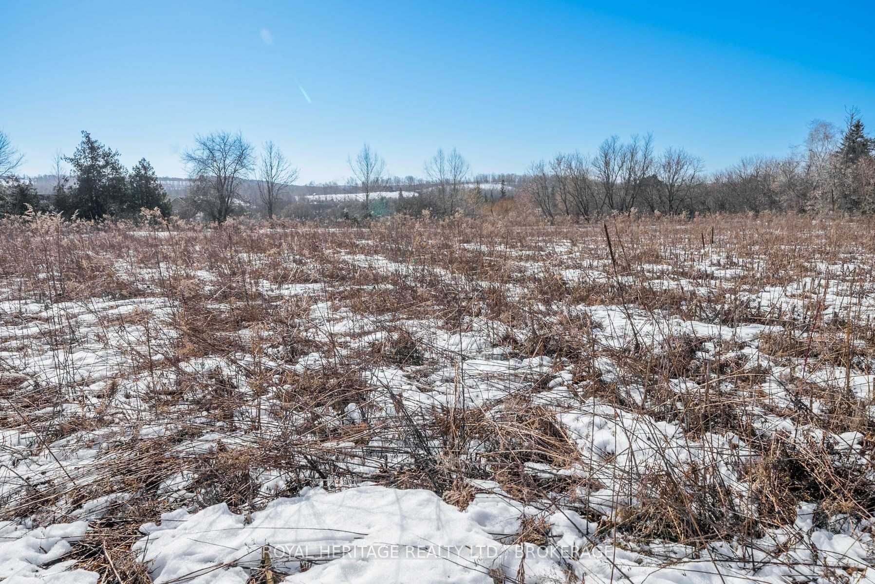498 Haynes Road