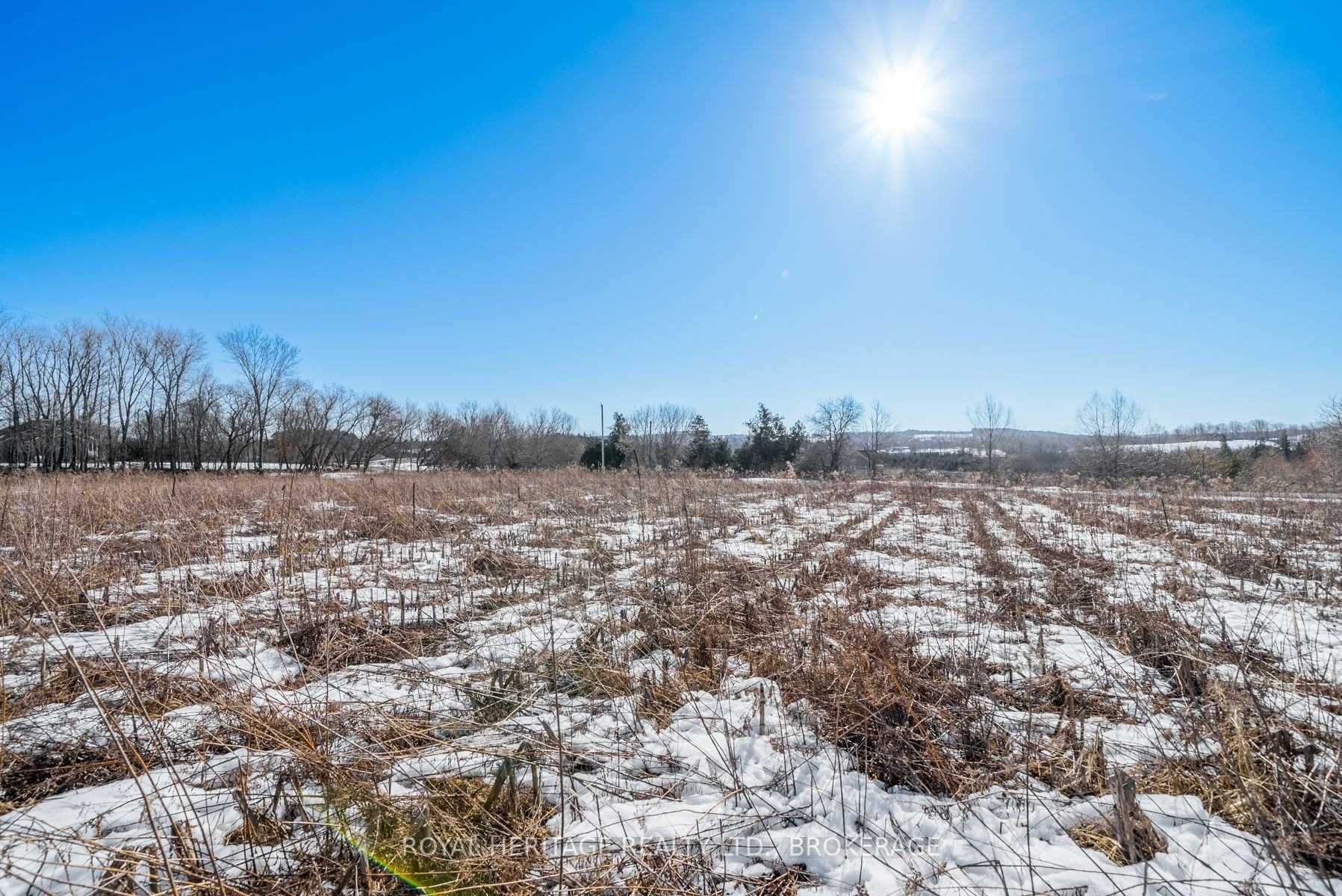 498 Haynes Road