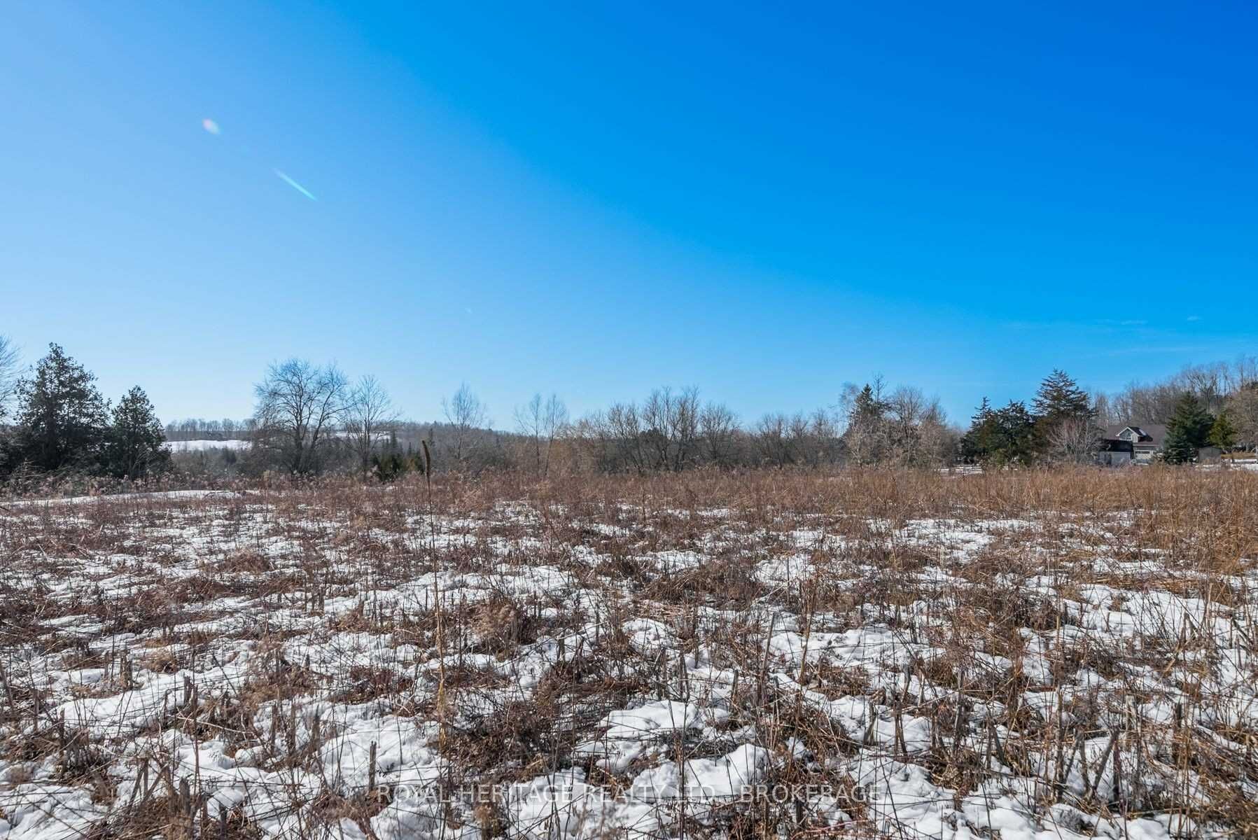498 Haynes Road