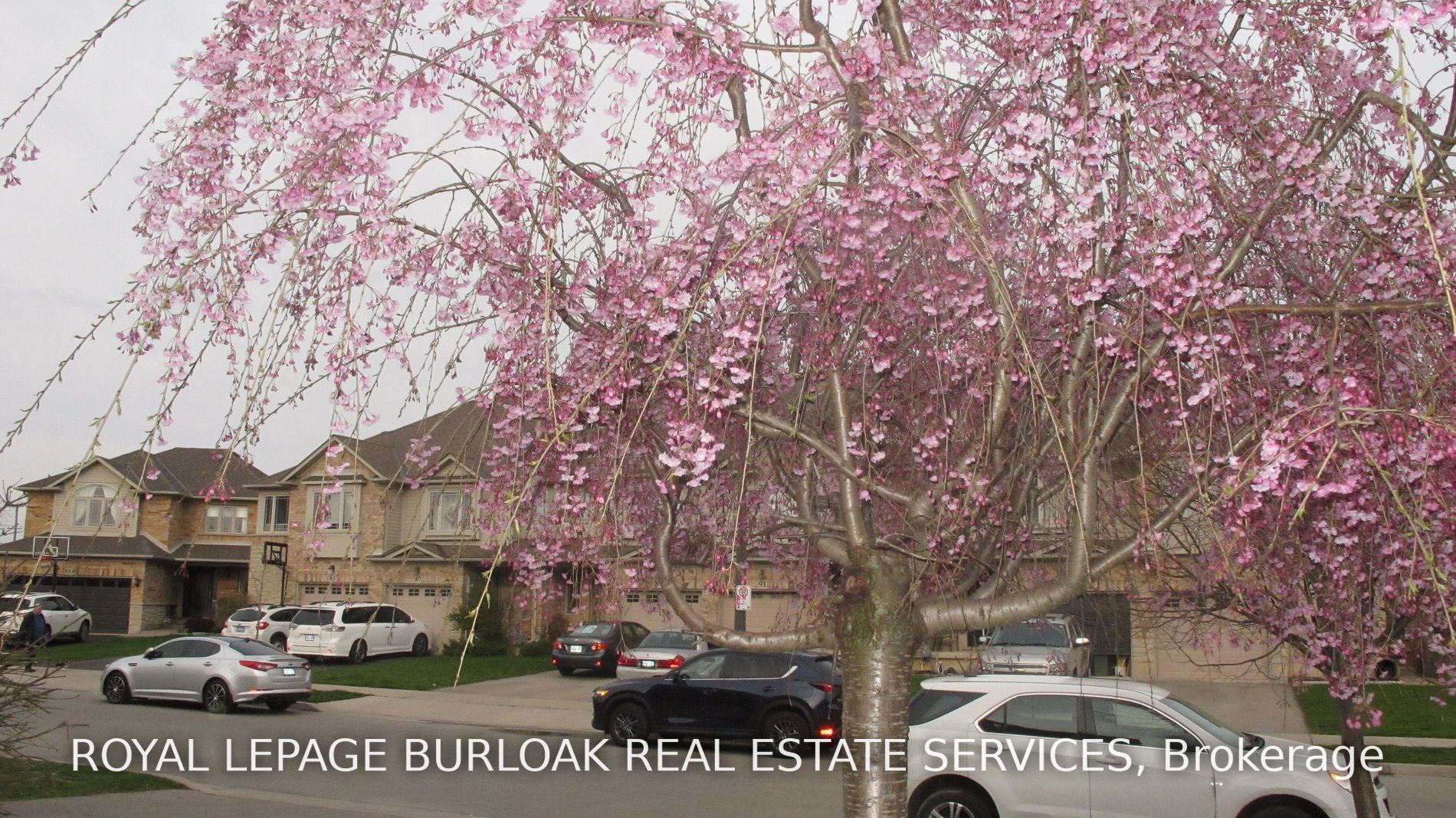 94 Donald Bell Drive