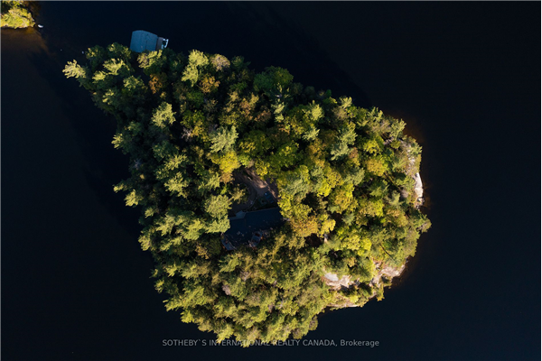31 Moss Island, Seguin