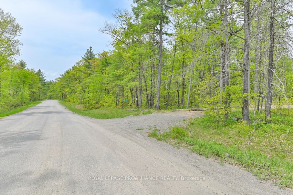 Listing X5916163 - Large Photo # 2