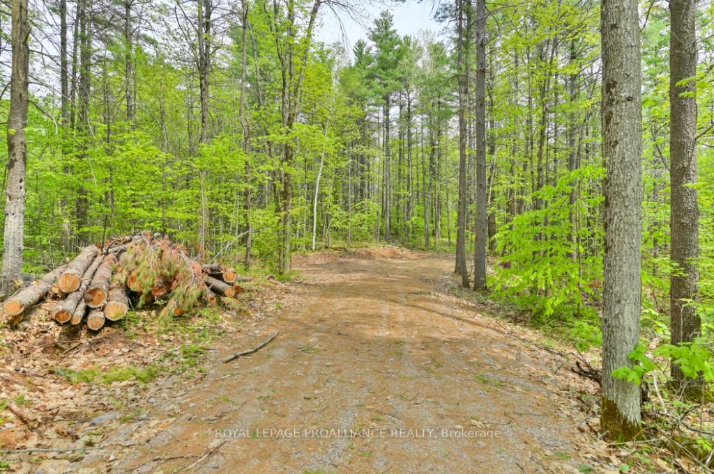 Listing X5916163 - Large Photo # 5