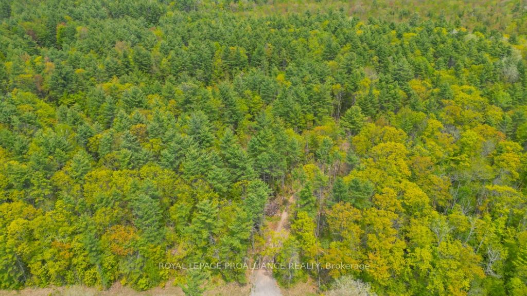 Listing X5916163 - Large Photo # 9