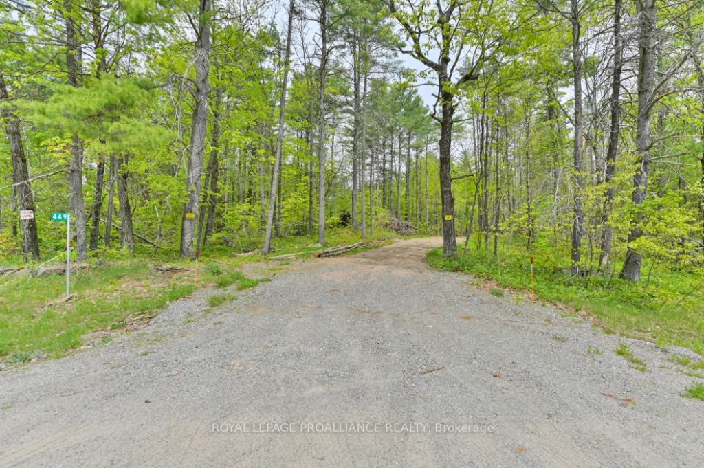 Listing X5916163 - Large Photo # 1
