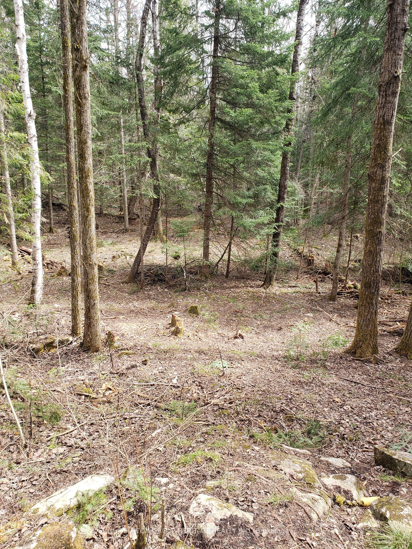 Listing X5916480 - Large Photo # 3