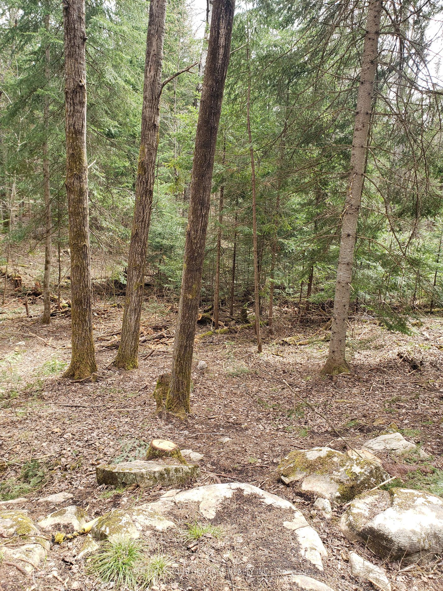 Listing X5916480 - Large Photo # 1