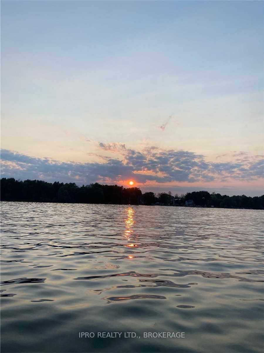 Listing X5916493 - Large Photo # 5