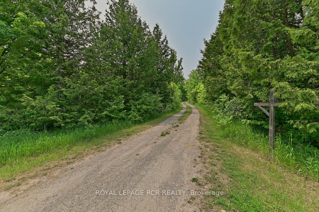 Listing X5917608 - Large Photo # 40