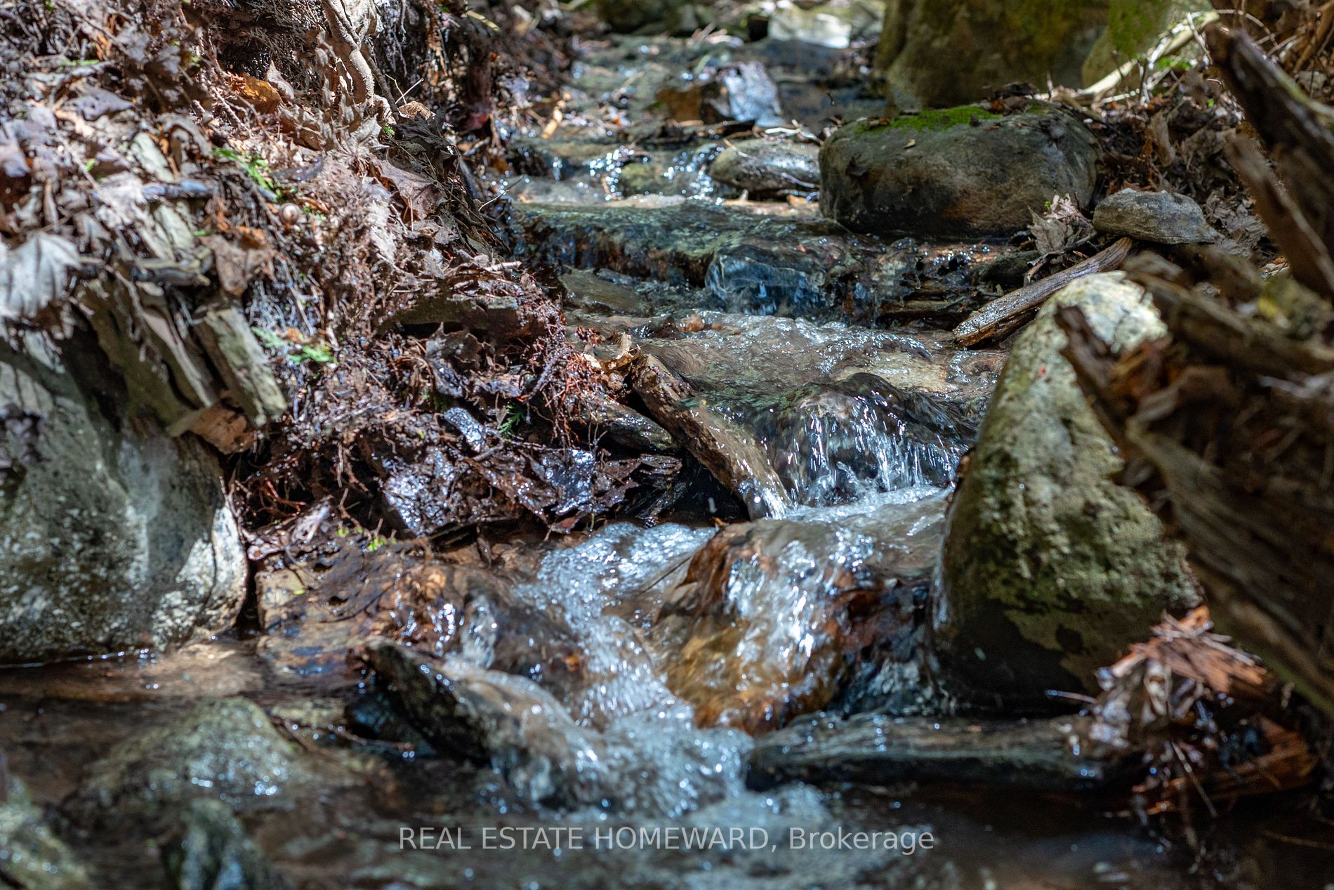 Listing X5923500 - Large Photo # 9