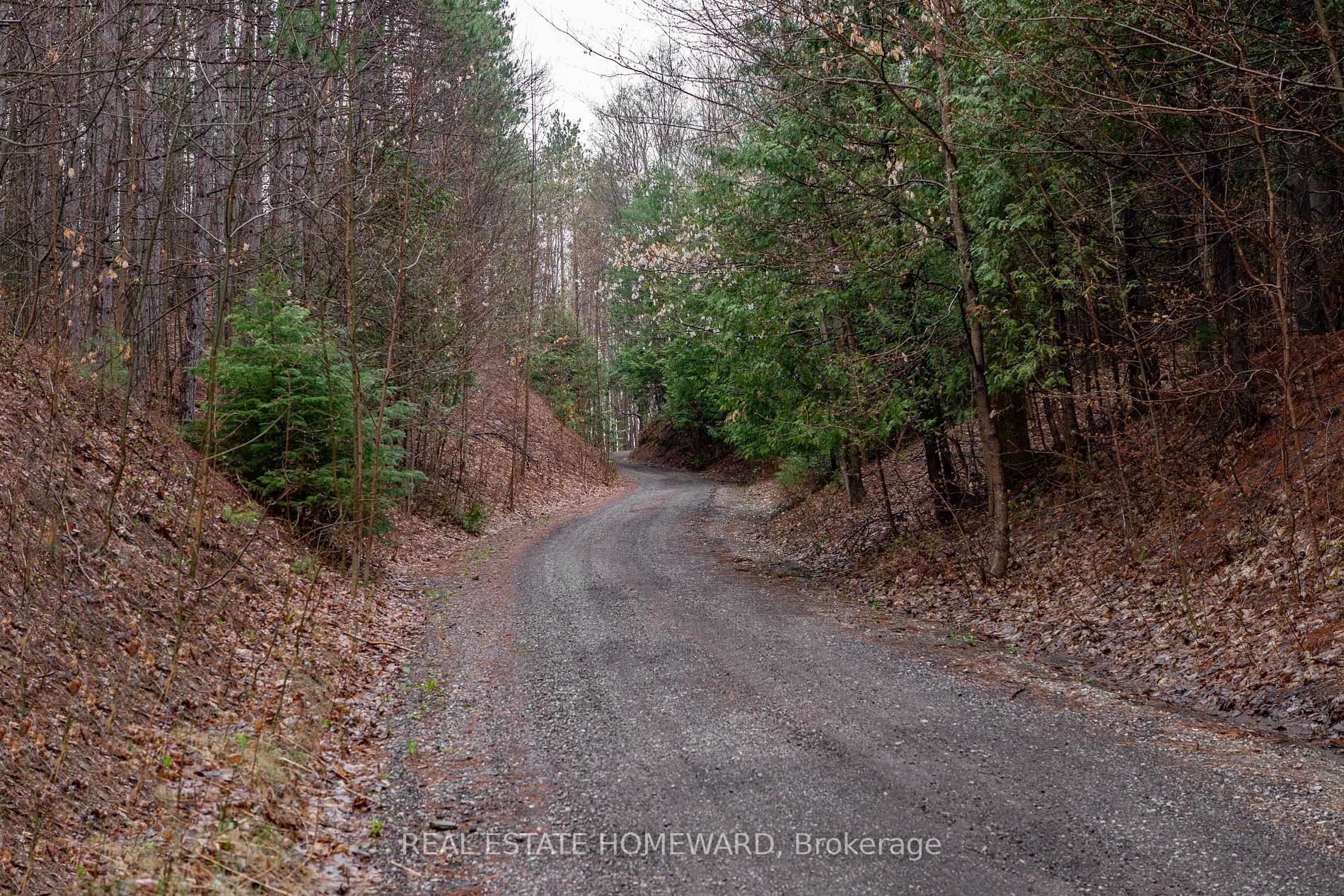 Listing X5923500 - Large Photo # 19