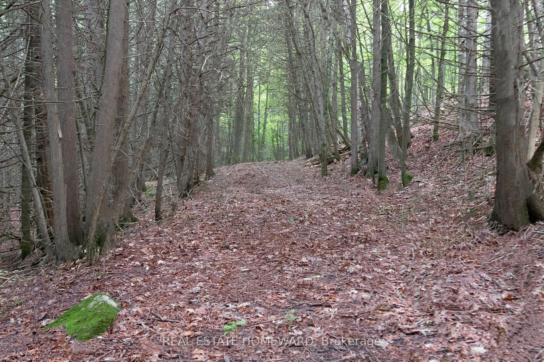 Listing X5923500 - Large Photo # 3