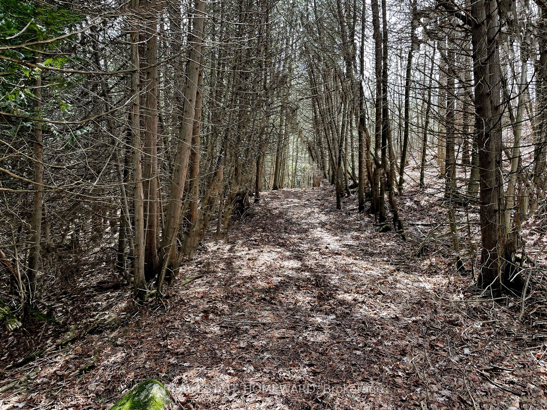 Listing X5923500 - Large Photo # 31