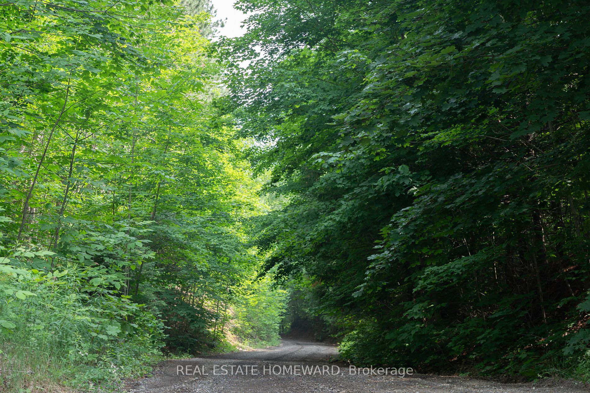 Listing X5923500 - Large Photo # 6