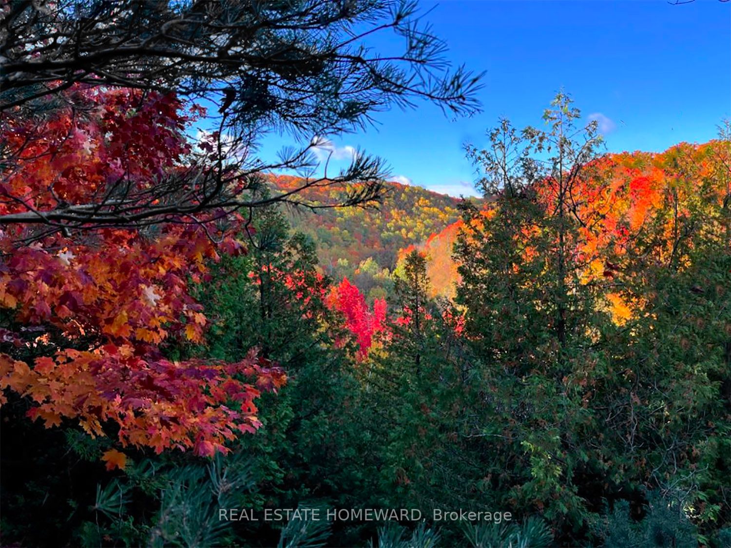 Listing X5923500 - Large Photo # 13