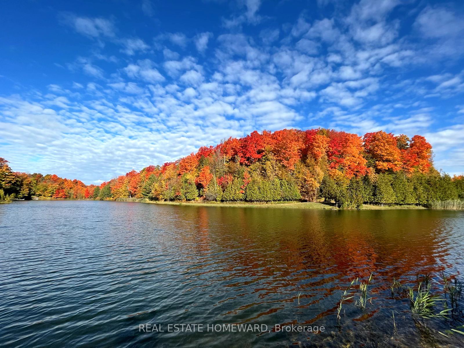 Listing X5923500 - Large Photo # 32