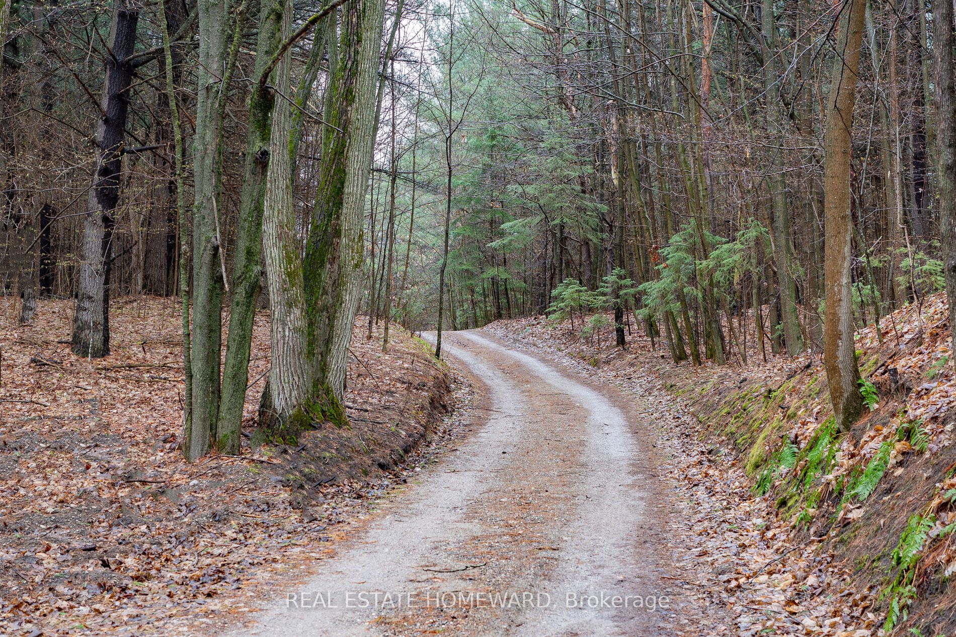 Listing X5923500 - Large Photo # 17