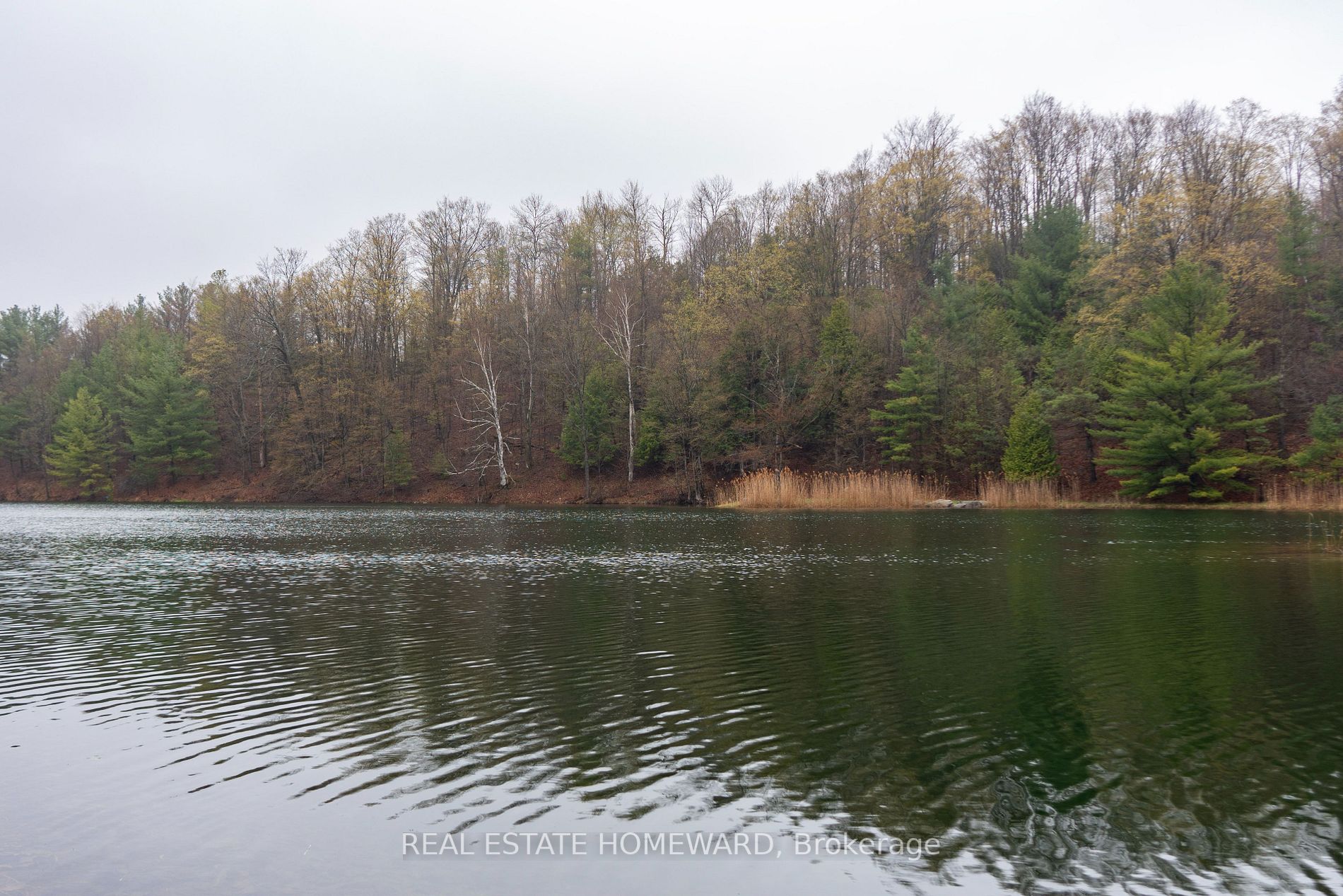 Listing X5923500 - Large Photo # 37