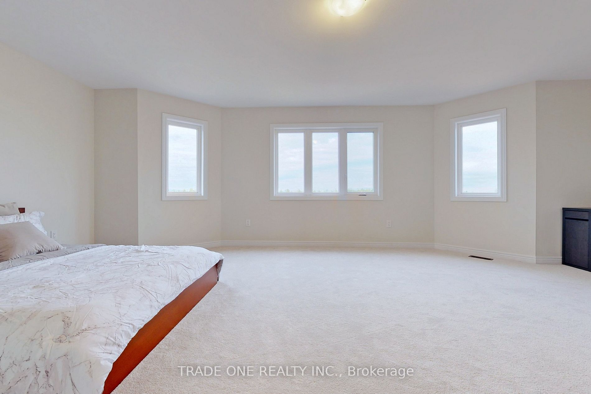 Listing X5924052 - Large Photo # 18