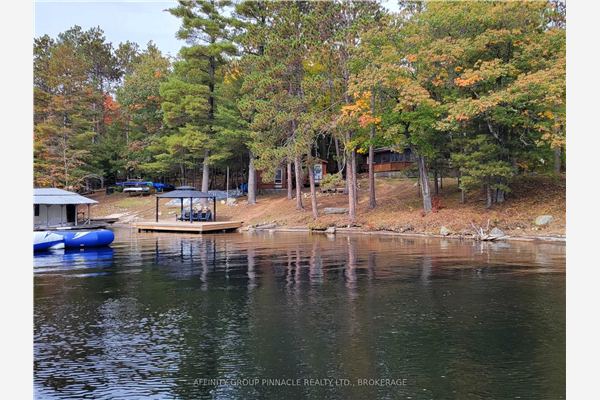 902 Weslemkoon Lake Rd, Addington Highlands
