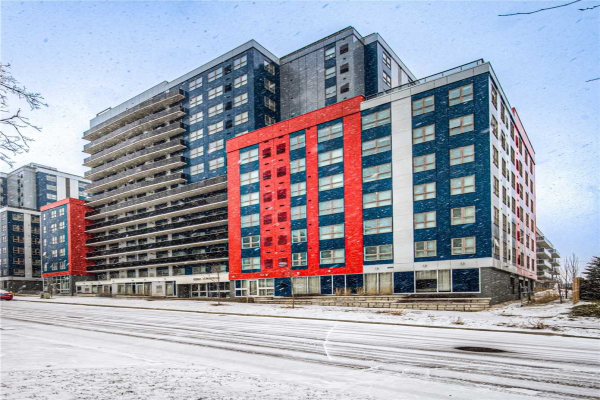 258A Sunview St, Waterloo