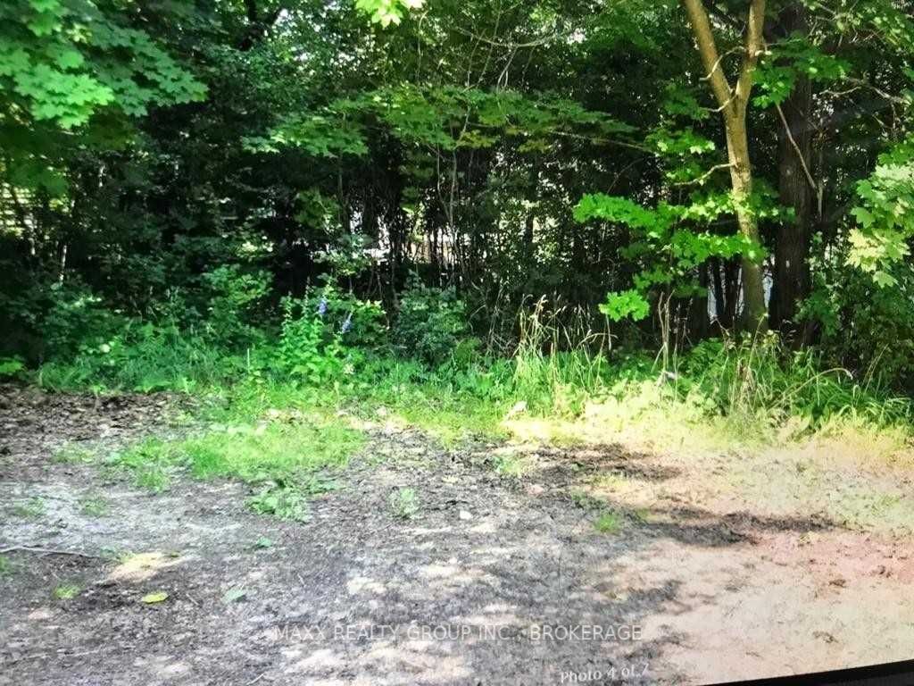 Listing X5928099 - Large Photo # 12